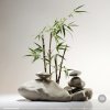 彩云的头像