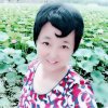 云海的头像