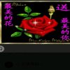 云淡风轻的头像