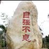 寂寞的爱的头像