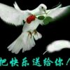 燕子的头像