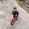 岁月如歌(忙，暂离)的头像