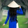 晚夏的头像