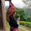 那里的头像