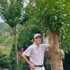 黎的头像