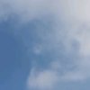 高山《暂退》的头像