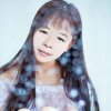 踏雪寻梅的头像