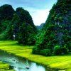 为你改变的头像