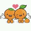 橘子的头像