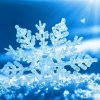 归宁（伴雪）的头像