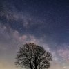 望星空的头像