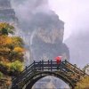 九门听涛以歌会友的头像