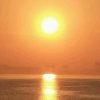 美夕阳（忙，回复不及时，请友友见谅。）的头像