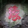 冬恋雪的头像