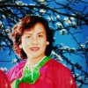 山里红的头像
