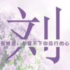 阿丽的头像