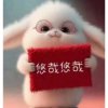 立哥的头像