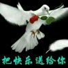 阿兰的头像