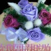 冰山美人的头像