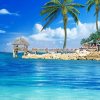 海的声音的头像