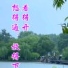 宁夏人的头像