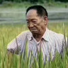 好星星的头像