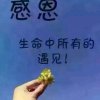 阿玉的头像