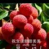 蔚蓝天空的头像