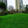 阳光执着〈大〉的头像