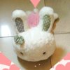 蓝云的头像