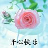 XXN会的头像