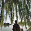 青衫的头像