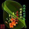 春的头像