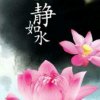 雨花石的头像