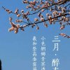 闲云野鹤的头像
