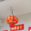 菊的头像