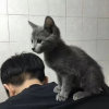 几点你会回家的头像