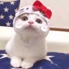Melody°女神接待芳芳的头像