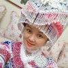 猫咪的头像
