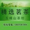伯乐的头像