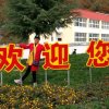 芳芳的头像