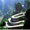 周立春的头像