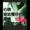 张宝旺的头像