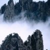 宁静致远的头像
