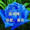 雪中飞杨的头像