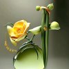蒲公英butterfyl的头像
