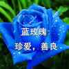 自由花的头像