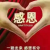 守望的头像