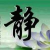 家和万事 兴的头像