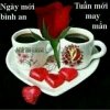 Văn Sinh的头像